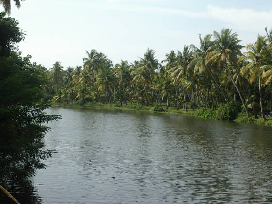 imgp8084.jpg